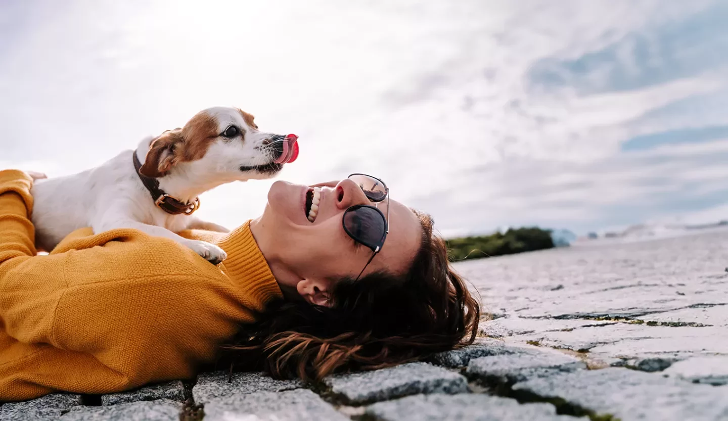 person and dog on beach